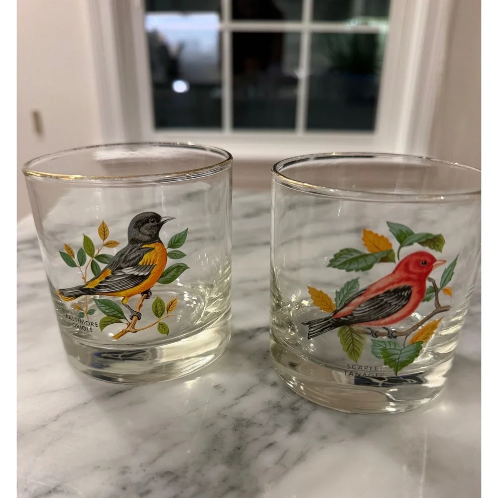 Vtg 70s MCM West Virginia Glass American Songbirds 2 Glasses Oriole Tanager